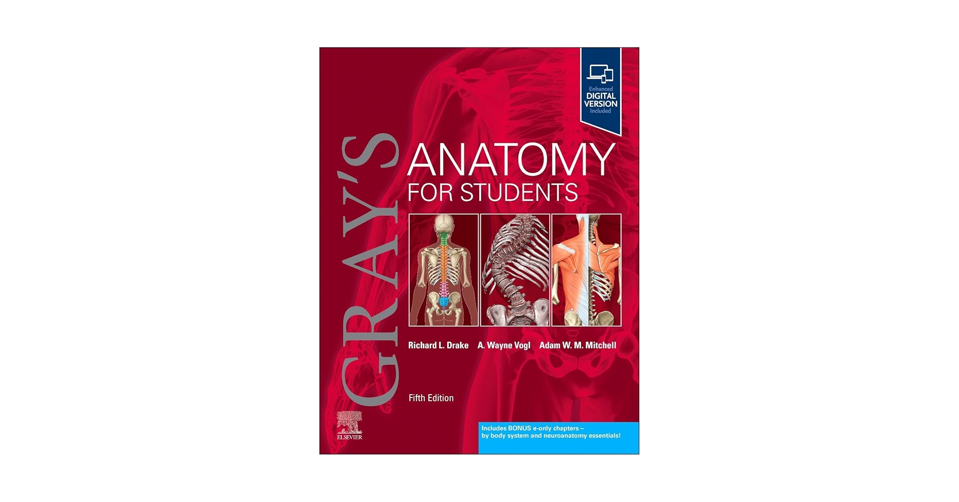 Gray's Anatomy for Students: 9780323934237: Medicine